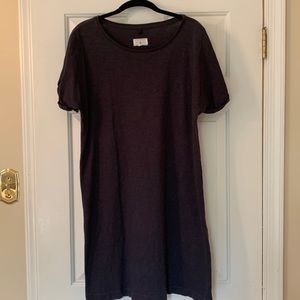 Loft Lou & Grey Shirt Dress